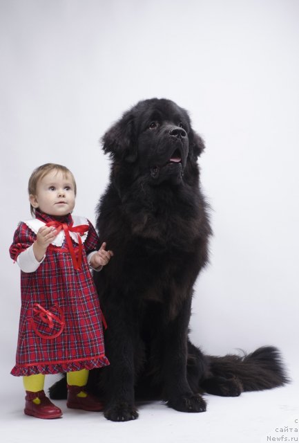 Фотография № 108918