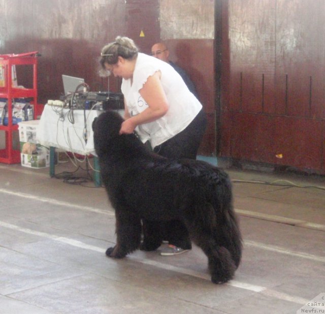 Фотография № 108960