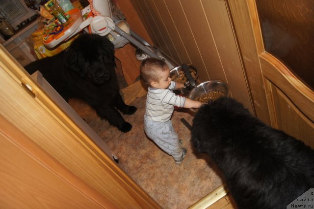 Фотография № 108989