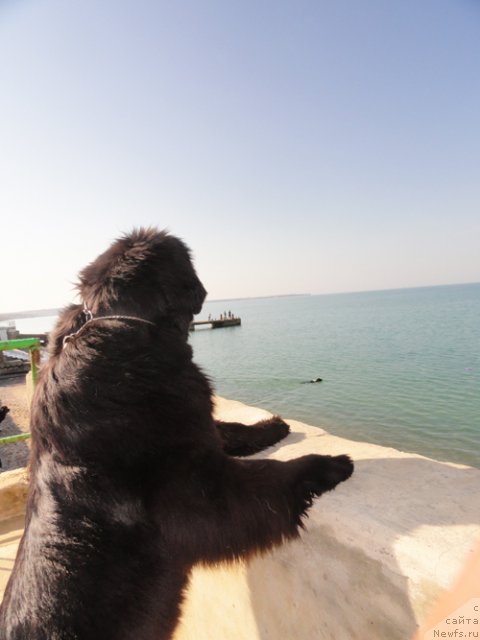 Фотография № 109016