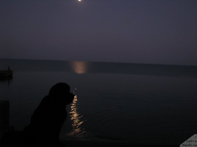 Фотография № 109083