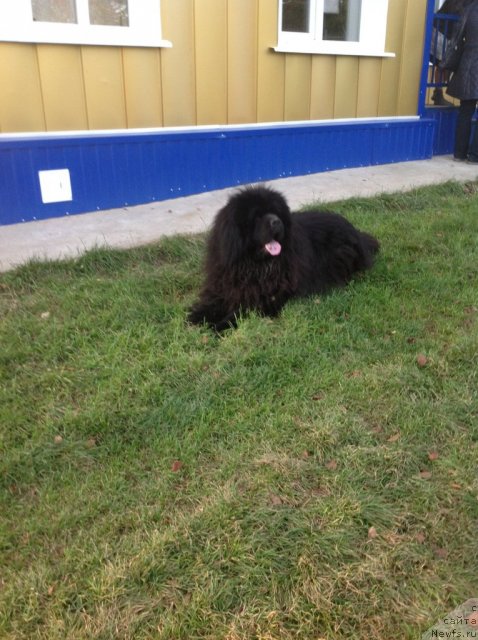 Фотография № 109087