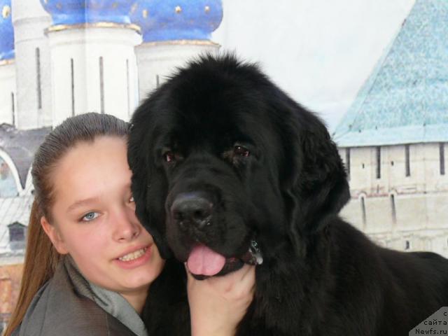 Фотография № 10909