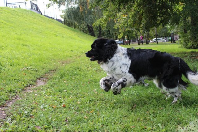 Фотография № 109091