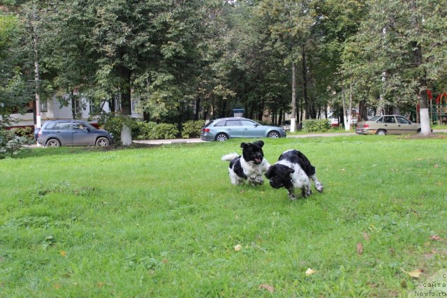 Фотография № 109092