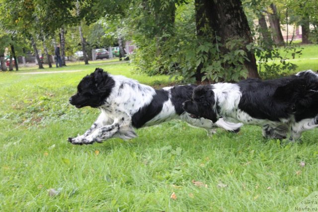 Фотография № 109093