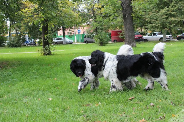 Фотография № 109095