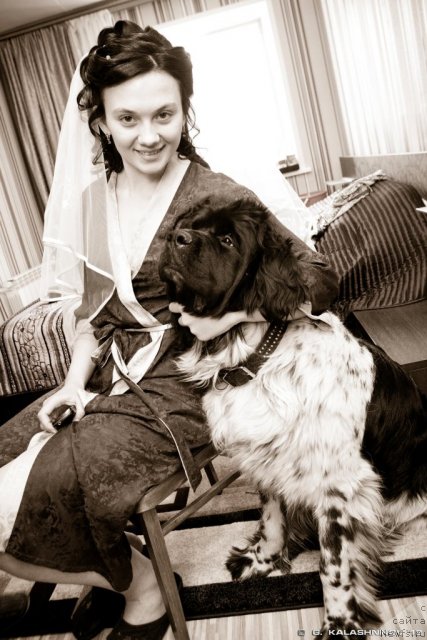 Фотография № 109096