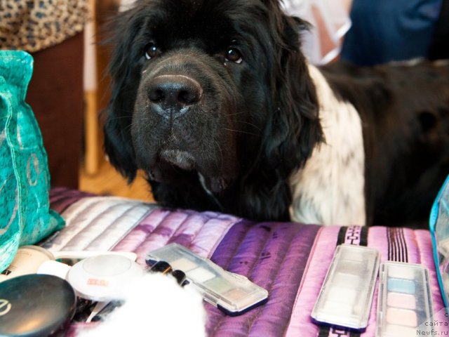 Фотография № 109099