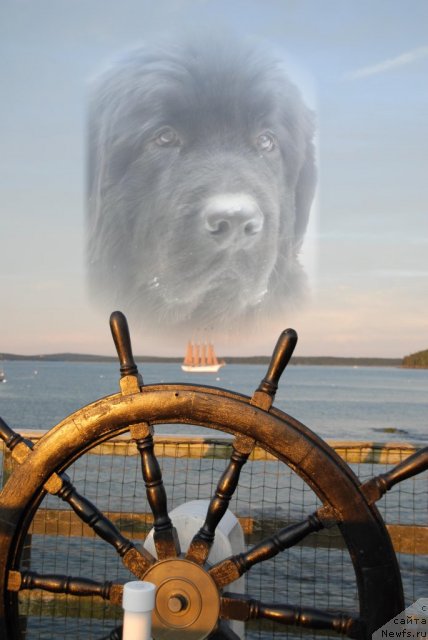 Фотография № 109107