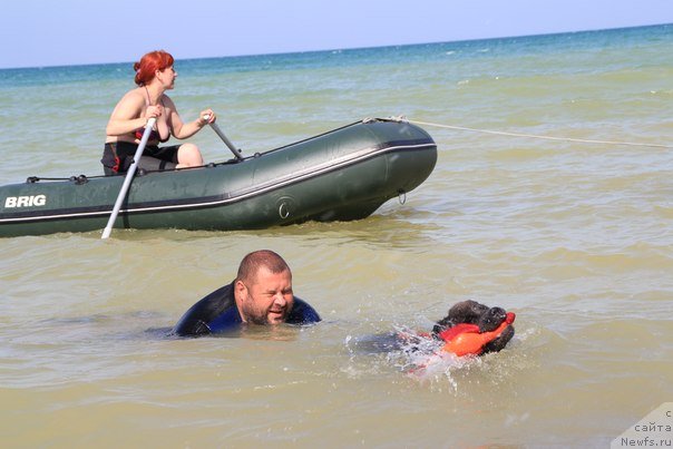 Фотография № 109131