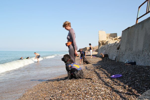 Фотография № 109138