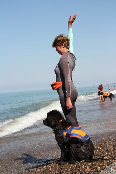 Фотография № 109141