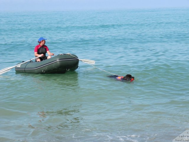 Фотография № 109142