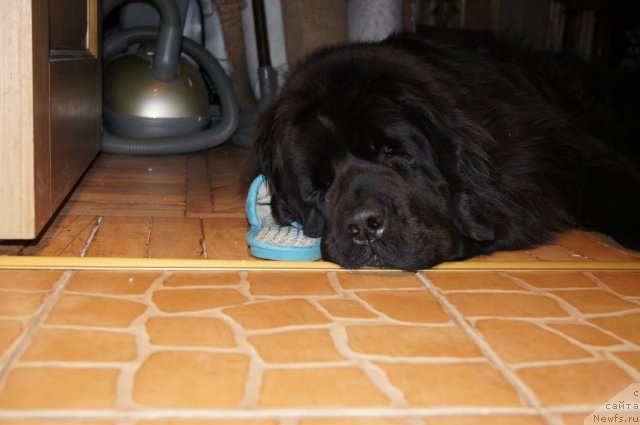 Фотография № 109289