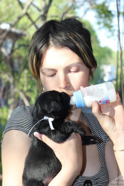 Фотография № 109359