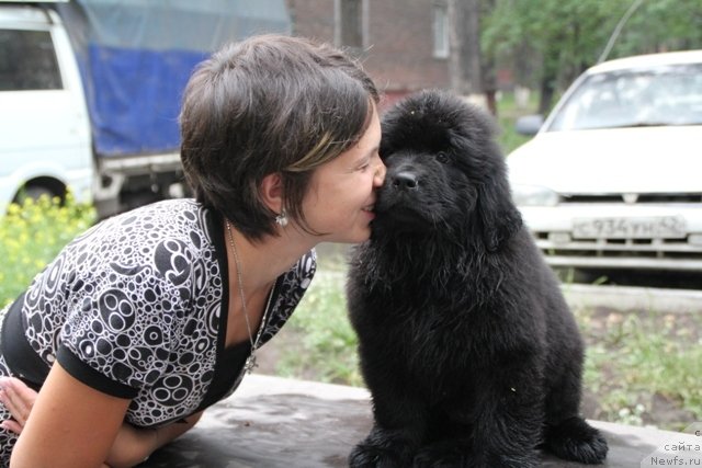 Фотография № 109371