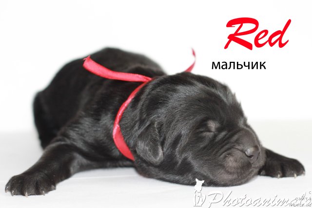 Фотография № 109376