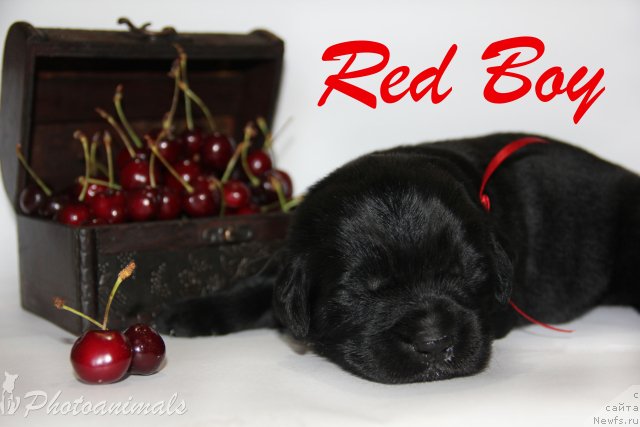 Фотография № 109379