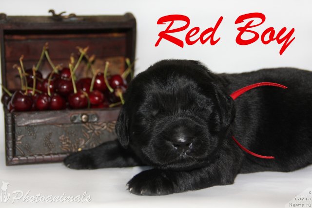 Фотография № 109380