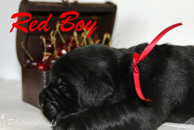 Фотография № 109381