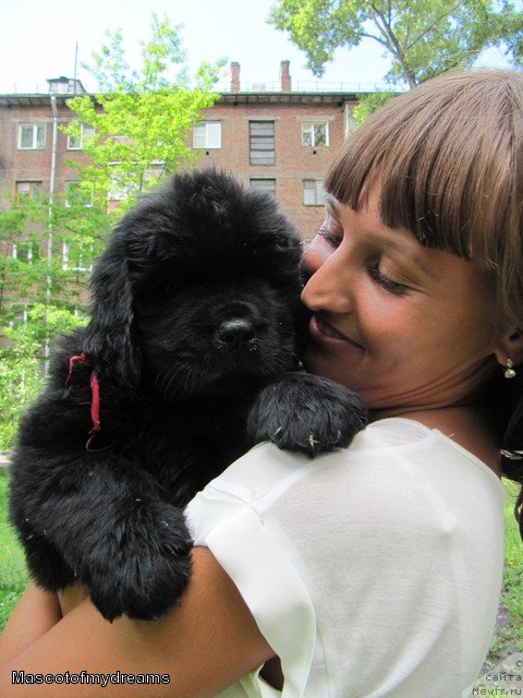 Фотография № 109383