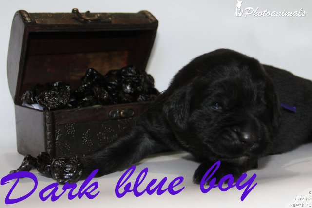 Фотография № 109388