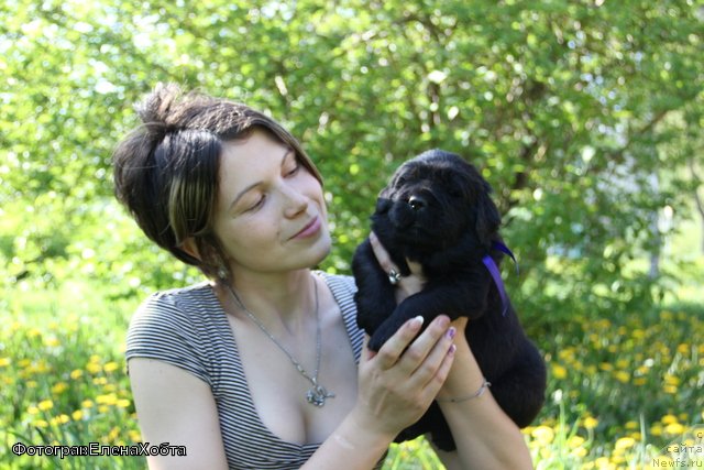 Фотография № 109390