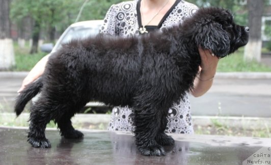 Фотография № 109394