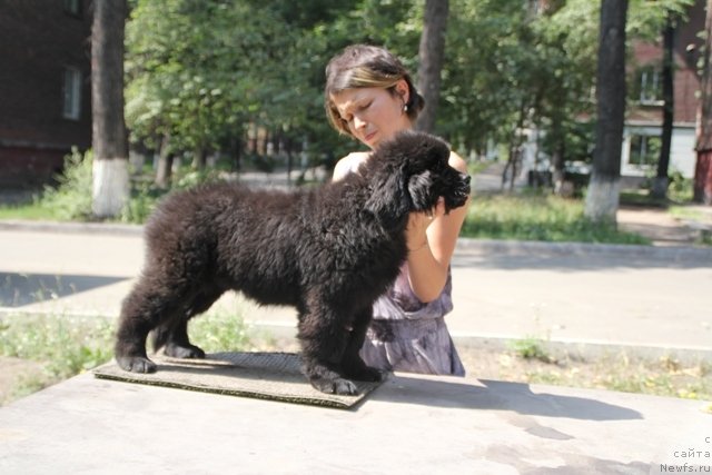 Фотография № 109398