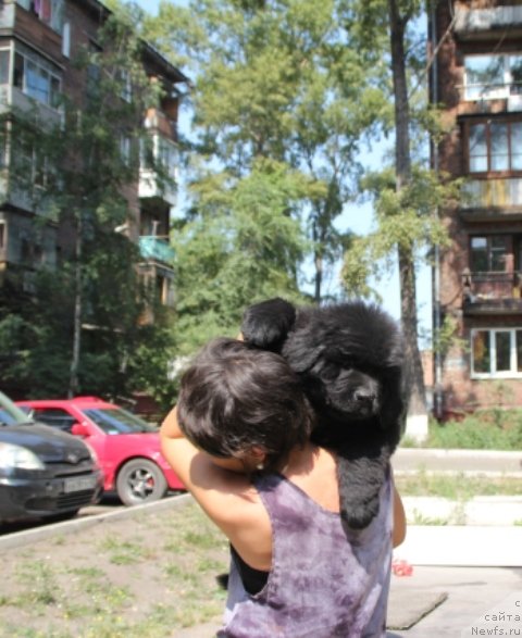 Фотография № 109400