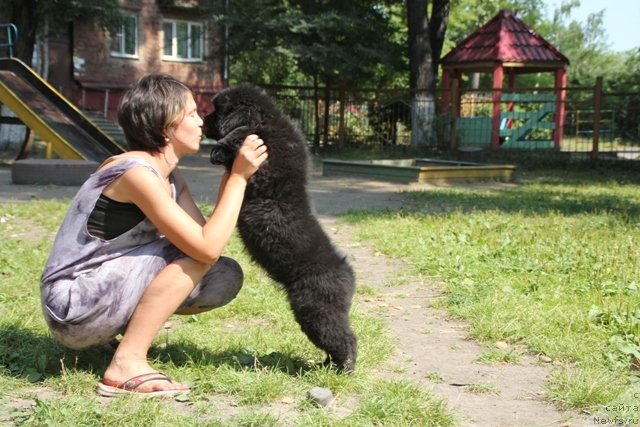 Фотография № 109401