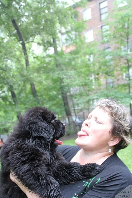 Фотография № 109414