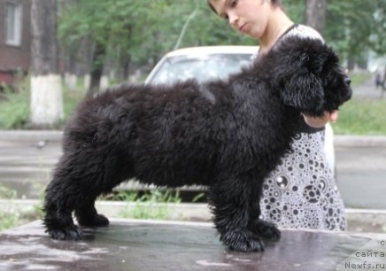 Фотография № 109415