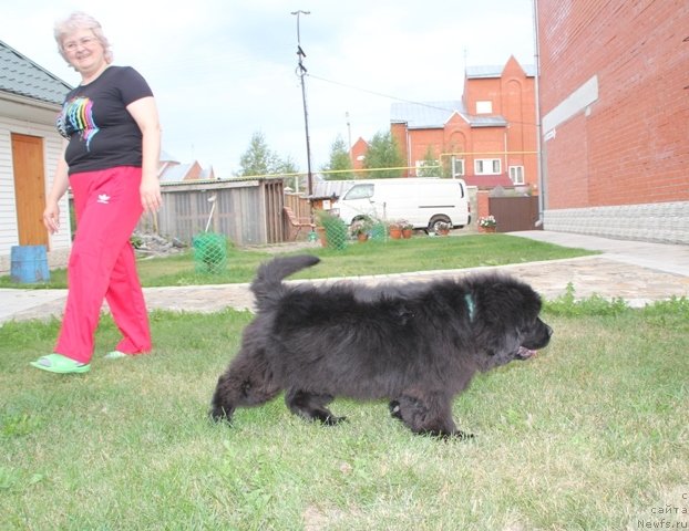 Фотография № 109418