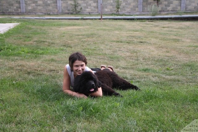 Фотография № 109420