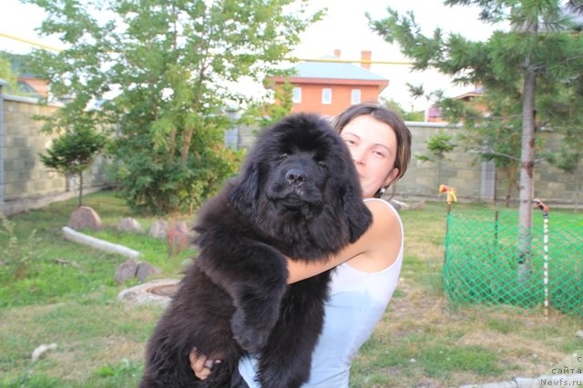 Фотография № 109421