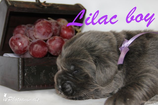 Фотография № 109425