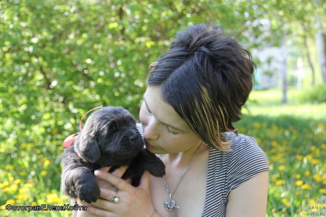 Фотография № 109434