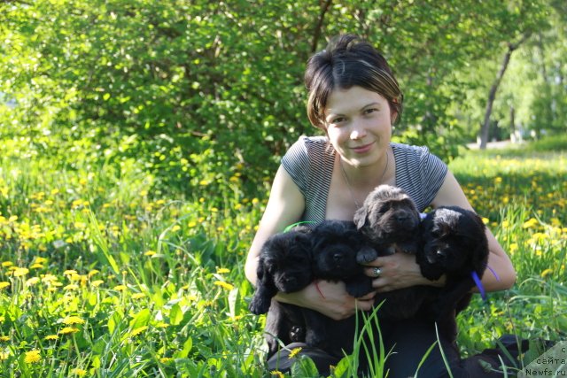 Фотография № 109437