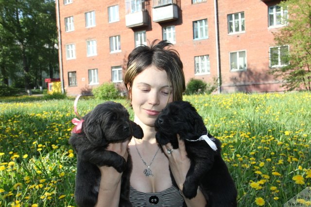 Фотография № 109438