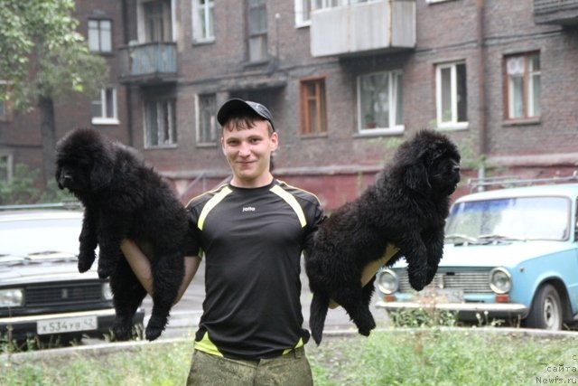 Фотография № 109440