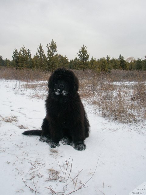 Фотография № 109444