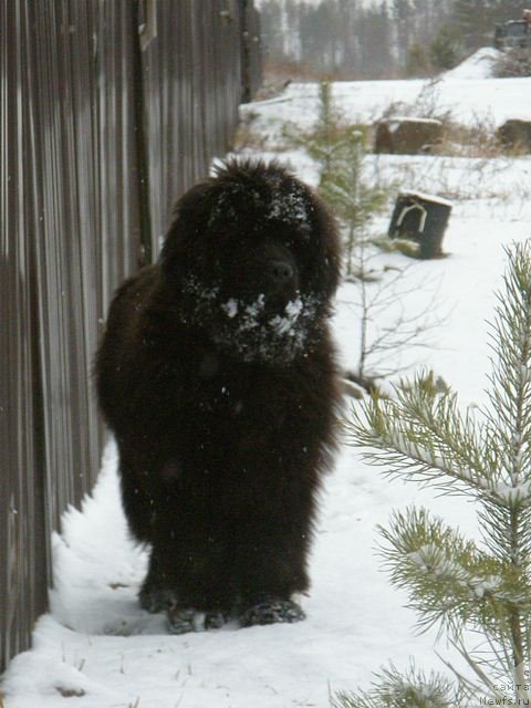 Фотография № 109448