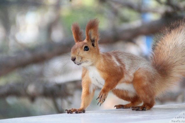 Фото: Anna Kovalyova (Анна Ковалёва)