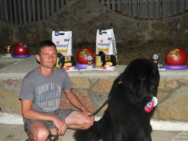 Фотография № 109453