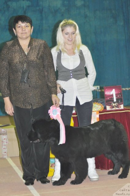 Фотография № 109457