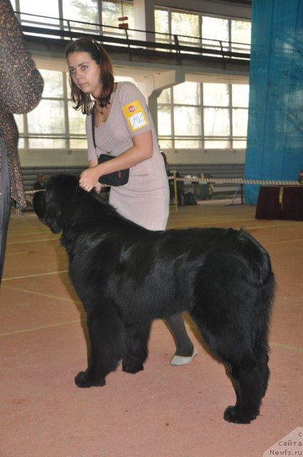 Фотография № 109459