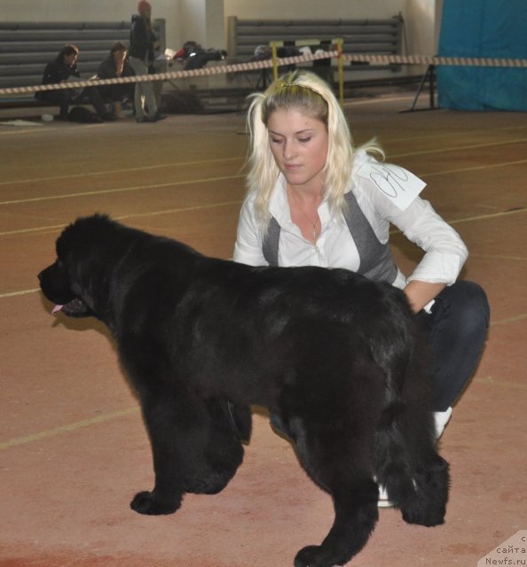 Фотография № 109460