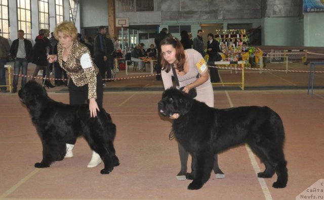 Фотография № 109462